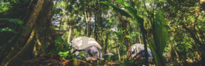 Glamping Tents